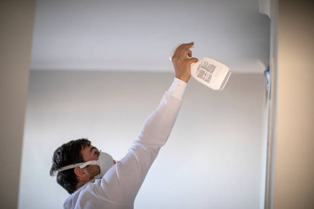 Best Mold Damage Repair  in Pimlico, SC